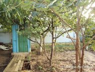 :   .         ,      . 