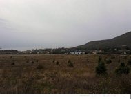 :    .         ,   ׸    