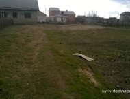 :   .         ,      . 