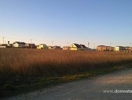 :    .          ,       . 