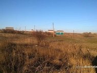 :    .          ,       . 