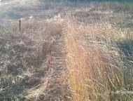 :    .          ,       . 