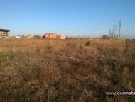 :    .          ,       . 