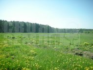 Москва: Недвижимость в деревня Малышево (Ганусовский с/о). Как добраться
Автомобиль
Проезд по Новорязанскому шоссе, далее съезд Недвижимость в деревня Малыше