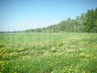 Москва: Недвижимость в деревня Малышево (Ганусовский с/о). Как добраться
Автомобиль
Проезд по Новорязанскому шоссе, далее съезд Недвижимость в деревня Малыше