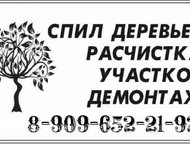 :  ,  ,  ,   -    ,    ,  