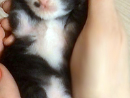 :        :2- (  ,  -)  2- -.