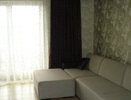  150 , ,   7 ,   ,      ,  : 10 000 . . 
 ,  -  