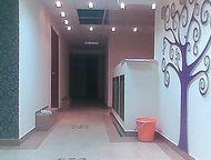         .        .      ,  - ,  ()