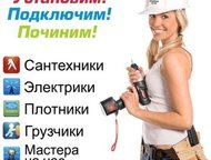     -  .           ,    ,  - ,  ()