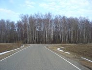 : 15    ,  ,  ,  ,      15    (  ), . ,