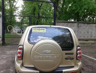 --:       2006  ,       , 