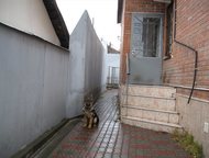 --:  : , --, , , 1-   : . --, , . 1- ,     ( 