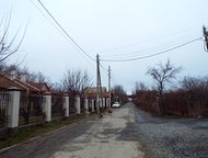 --: , , / , -  , 5  , , / , , -  , 5, 0 , 2025,  , , 