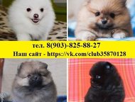        
 
   8500 .
 ,      ,   ! ,  -  ,  