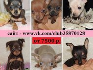          7500 !     ) ,  ! ,  ,  -  ,  