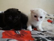 ������ ����������� ����� ������ ����������� �������� �����, ����������� - ������� ����� � �����