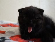 �����������: ������ ����������� ����� ������ ����������� �������� �����