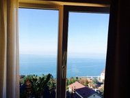            ( ,    ),   500 . ,  : ,  -  