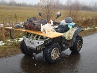     Stels 500 GT,  , 2014 /,  1500 , ,  4- ;  - ,  -  