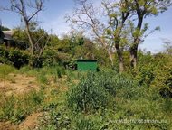 ������: ��������� ������� ��� ������������� ���� � ������� �������������� ����, ���������� �� ��������� ���� 10 ��. ��������. ������������: ��������� ������� 