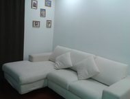 : 1-, , ,  , , , 50  , 36,      . 1- 