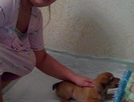   -    , 2, 5. ,   ,  ,    ,  ,  -  ,  