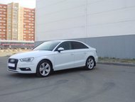 :  ,     Audi  ,     .      