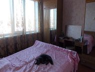 Томск: Продажа 4комн, на ул, Алтайской 132, Пора найти жилье попросторнее Устали ютиться в тесноте и стукаться лбами с другими домочадцами? Детям нужно больш