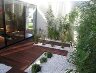  ,      Green Tree  ,  ,      , - -  