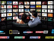 -:   tv  -       -,    : 
 1. , 