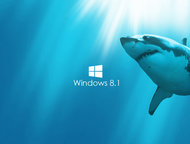          - 12 .   .    ,  Windows (XP, 8. 1).   .     ,  -  
