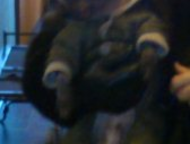 :       .  , , , ,  ,  7  (   3 .  , 