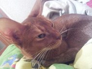        ,  , 2 , ,   . .     .,  -   ()